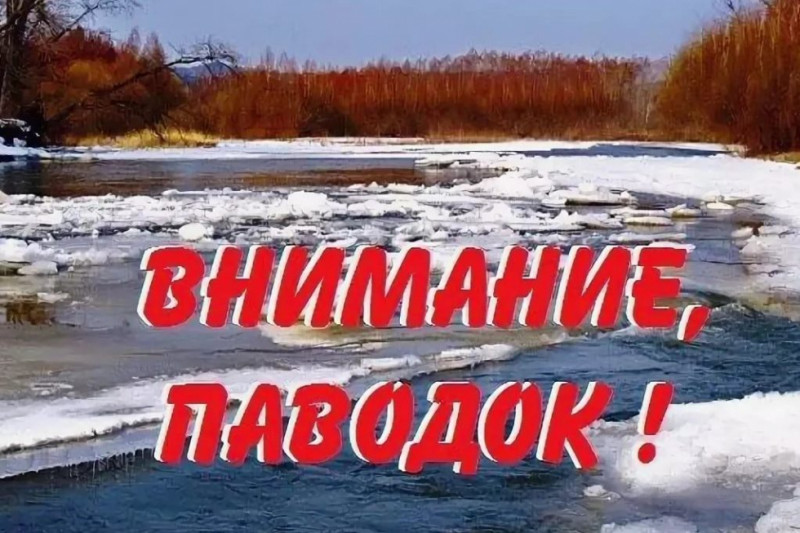 Фото новости